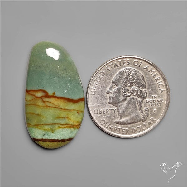 Polychrome Picture Jasper