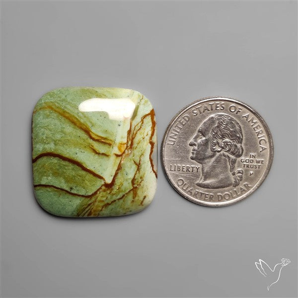 Polychrome Picture Jasper