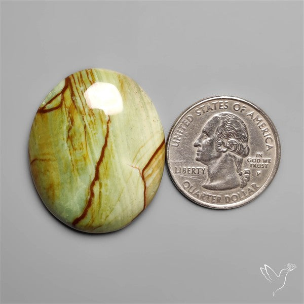 Polychrome Picture Jasper
