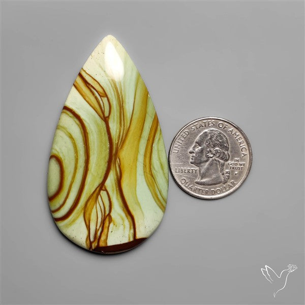 Polychrome Picture Jasper