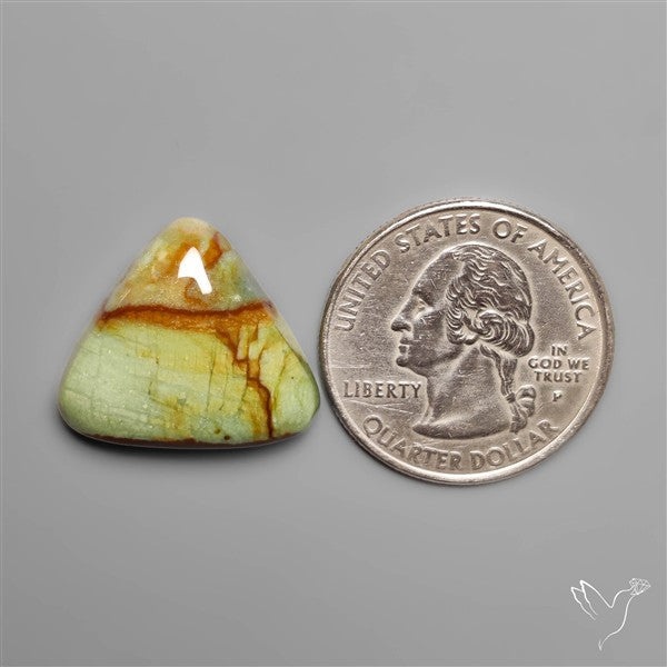 Polychrome Picture Jasper
