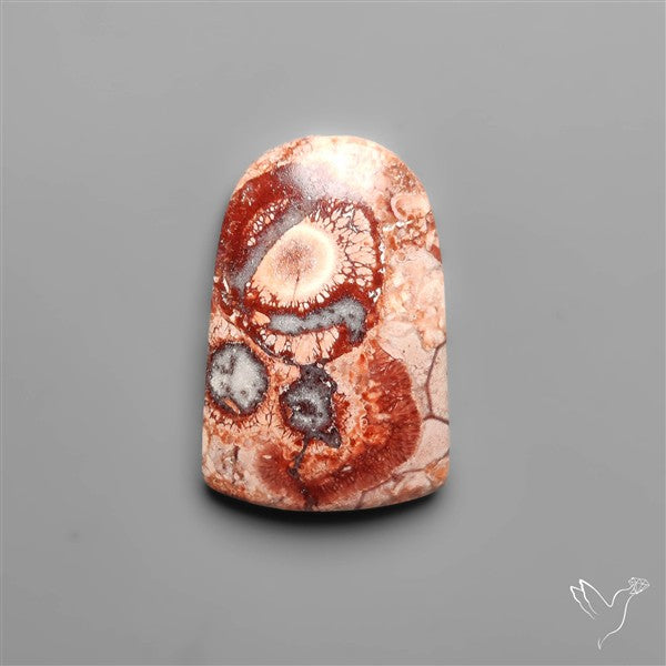 Bird Eye Jasper Cabochon