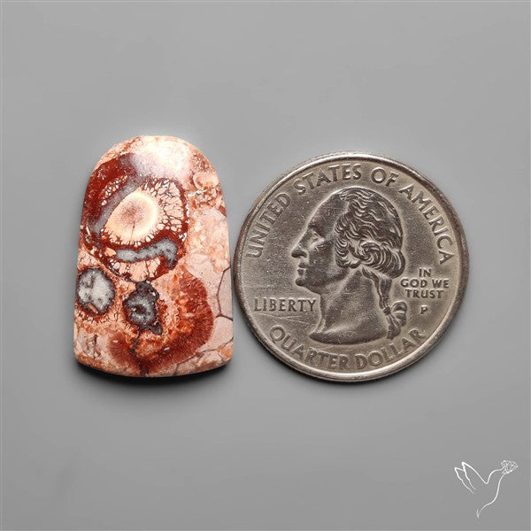 Bird Eye Jasper Cabochon