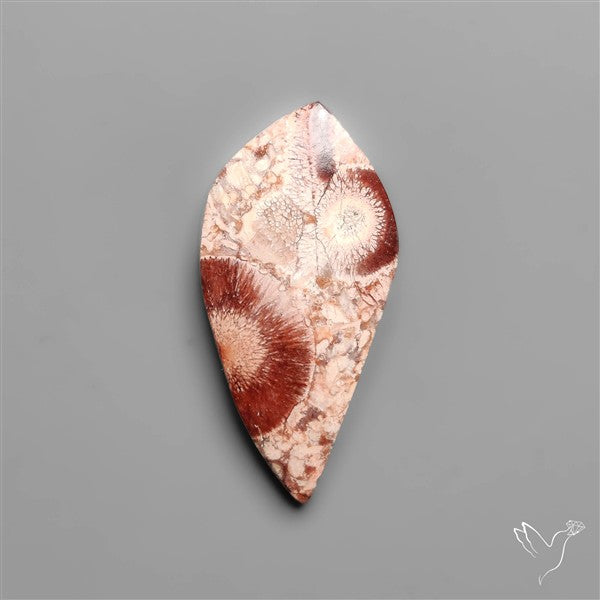 Bird Eye Jasper Cabochon