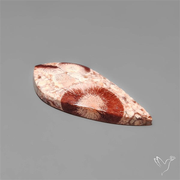 Bird Eye Jasper Cabochon