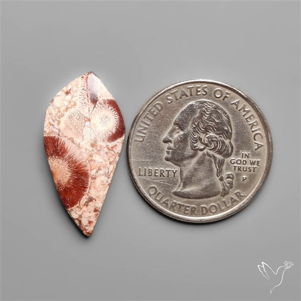 Bird Eye Jasper Cabochon