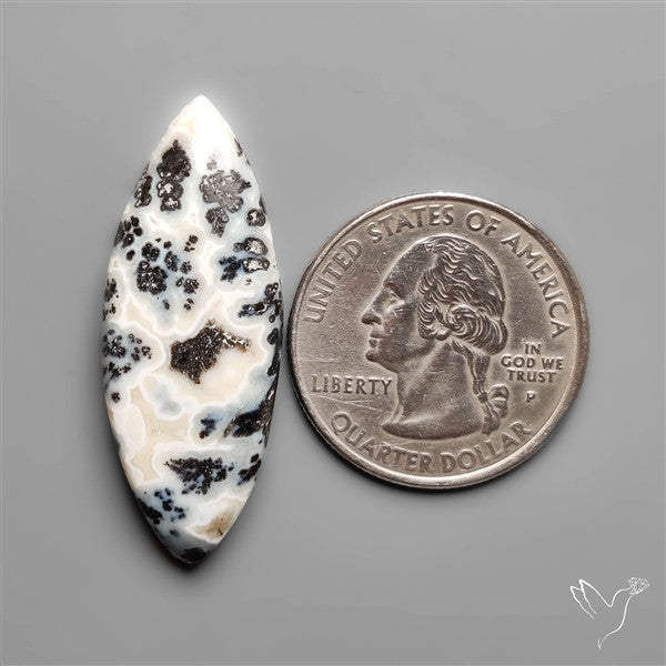 Parallel Dendritic Agate Cabochon