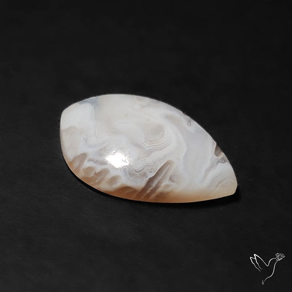 Oregon White Crazylace Agate