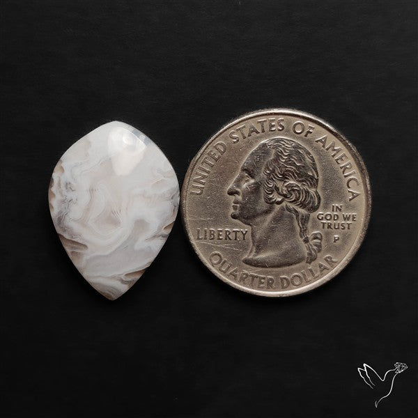 Oregon White Crazylace Agate