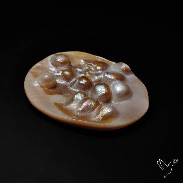 Multi Blisters Pearl Large Specimen