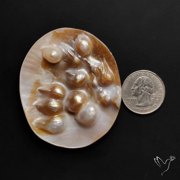 Multi Blisters Pearl Large Specimen