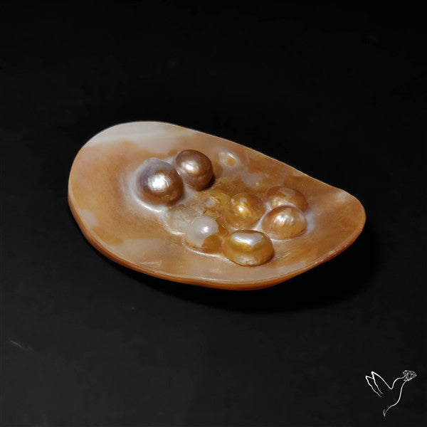 Multi Blisters Pearl Large Specimen