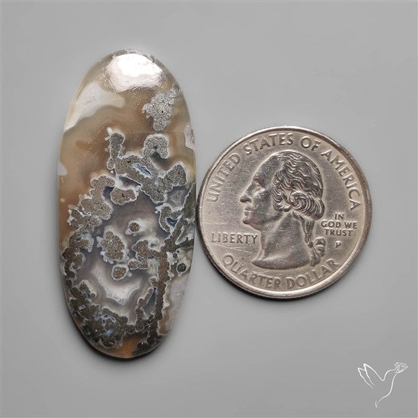 Marcasite Cabochon