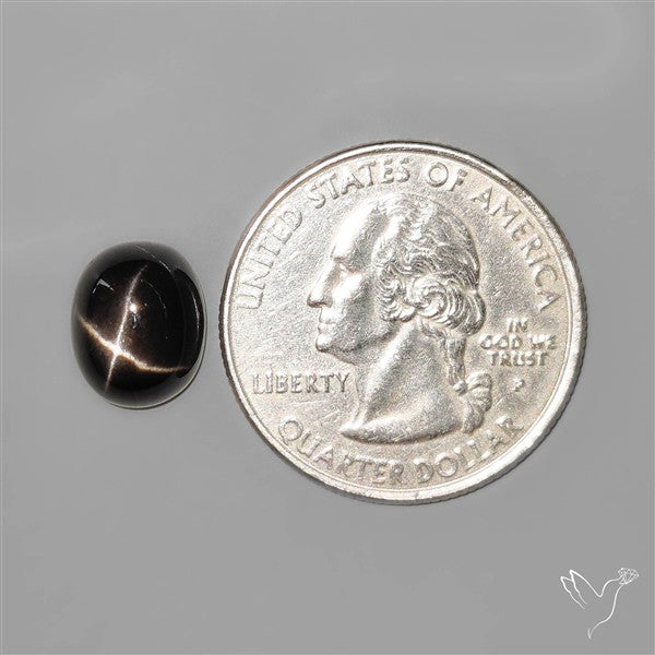 Black Star Diopside