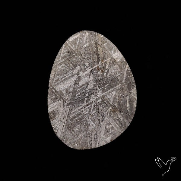 Rare Gibeon Meteorite