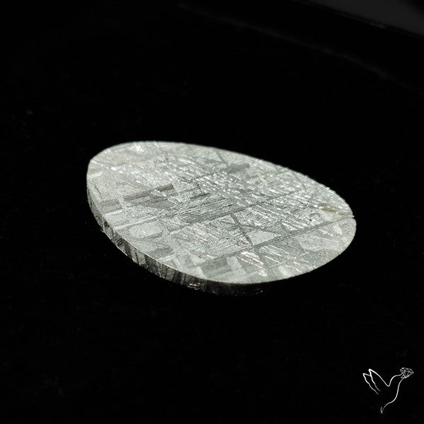 Rare Gibeon Meteorite