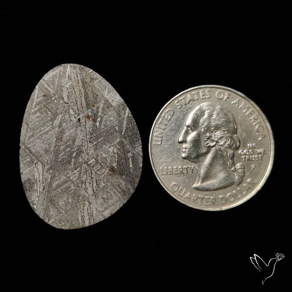 Rare Gibeon Meteorite