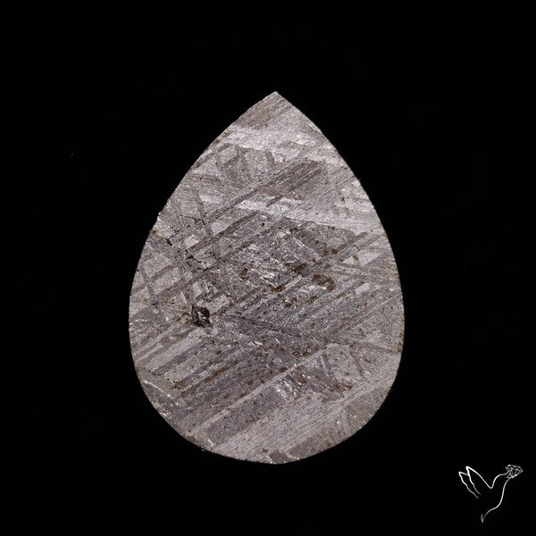 Rare Gibeon Meteorite