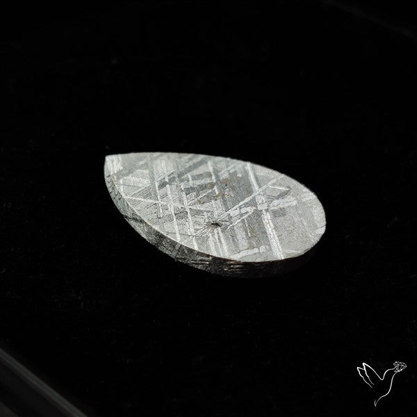Rare Gibeon Meteorite