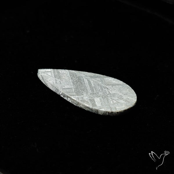 Rare Gibeon Meteorite