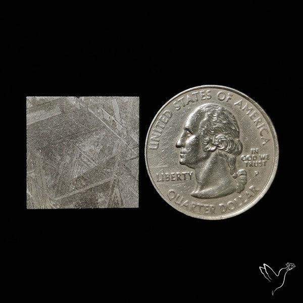 Rare Gibeon Meteorite