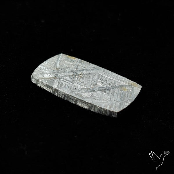 Rare Gibeon Meteorite
