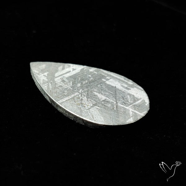 Rare Gibeon Meteorite