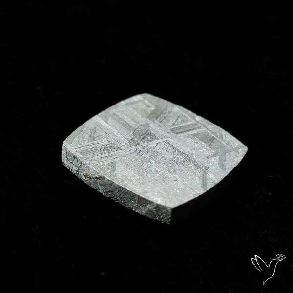 Rare Gibeon Meteorite