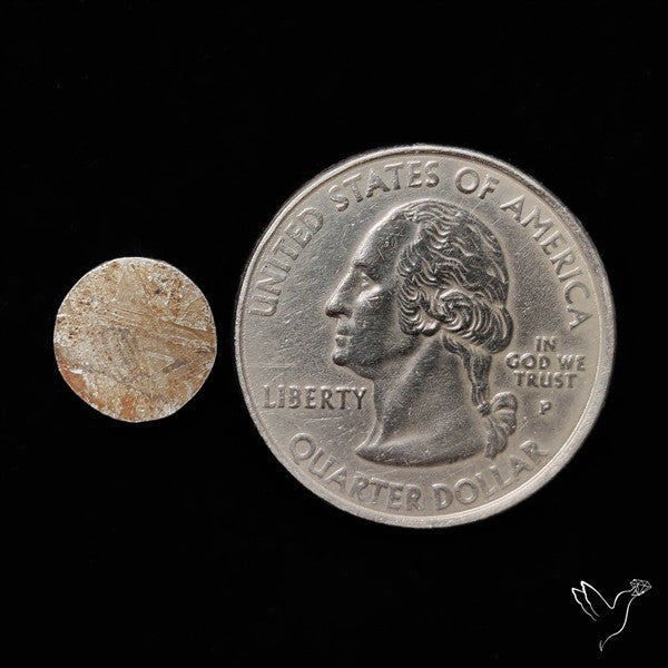 Rare Gibeon Meteorite