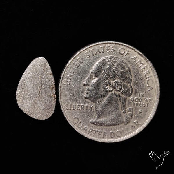 Rare Gibeon Meteorite