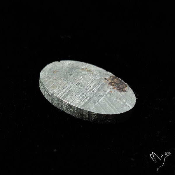 Rare Gibeon Meteorite