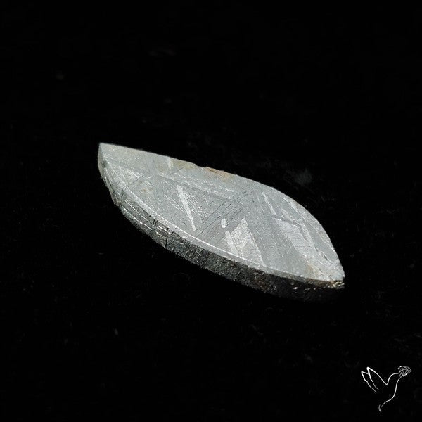 Rare Gibeon Meteorite