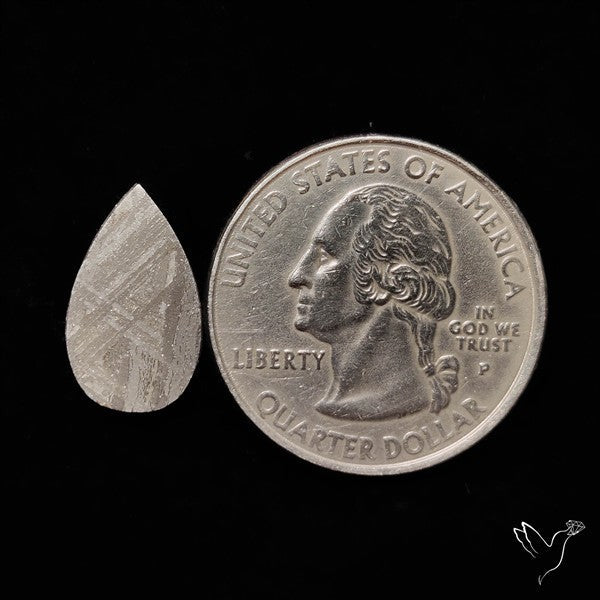 Rare Gibeon Meteorite