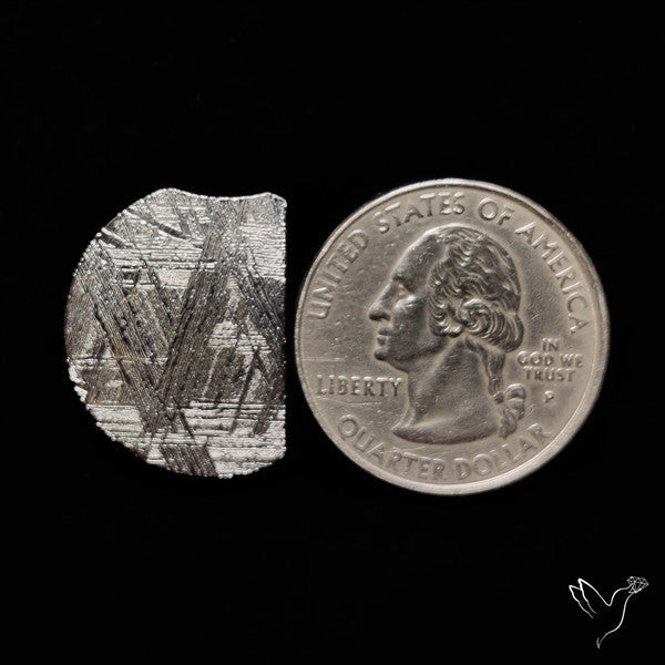 Rare Gibeon Meteorite