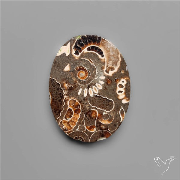 Rare Fossil Marston Marble Polished Flat Cabochon