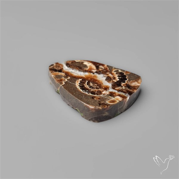 Rare Fossil Marston Marble