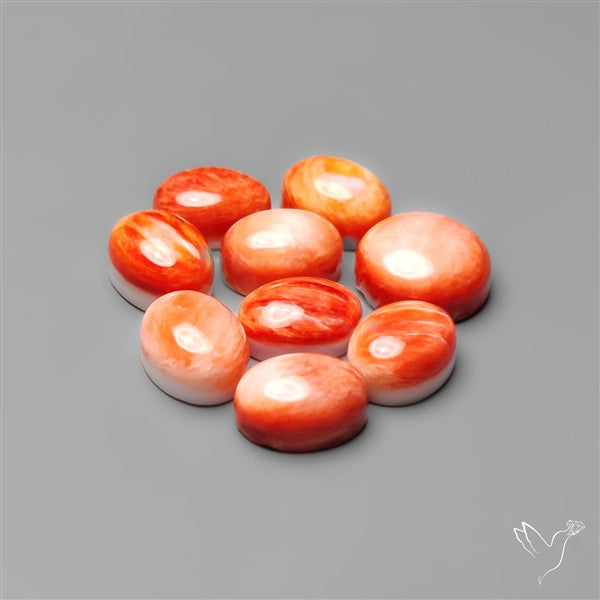 Spiny Oyster Shell Calibrated Cabochons Lot