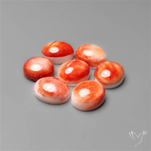 Spiny Oyster Shell Calibrated Cabochons Lot