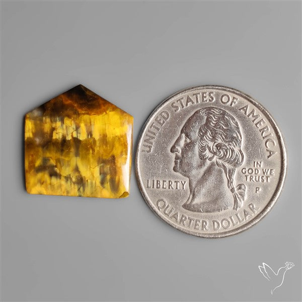 Selected Bi Color Nellite Cabochon