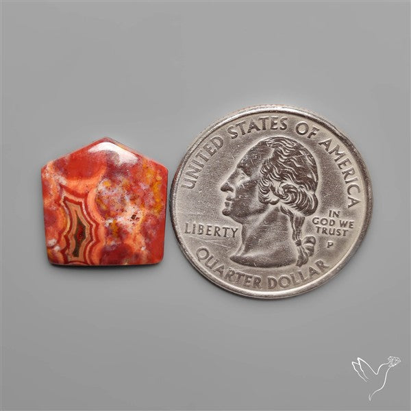 Orbicular Ocean Jasper Cabochon