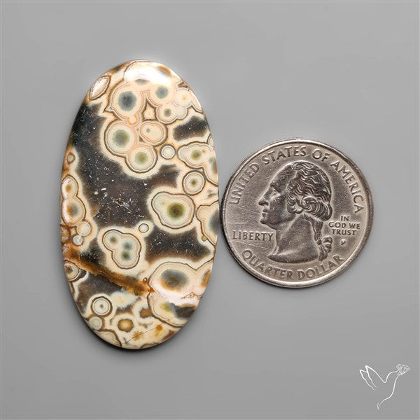 Orbicular Ocean Jasper Cabochon