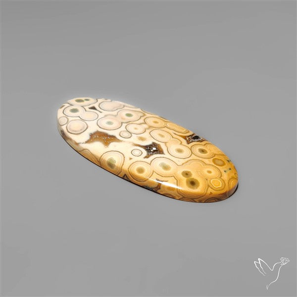 Orbicular Ocean Jasper Cabochon