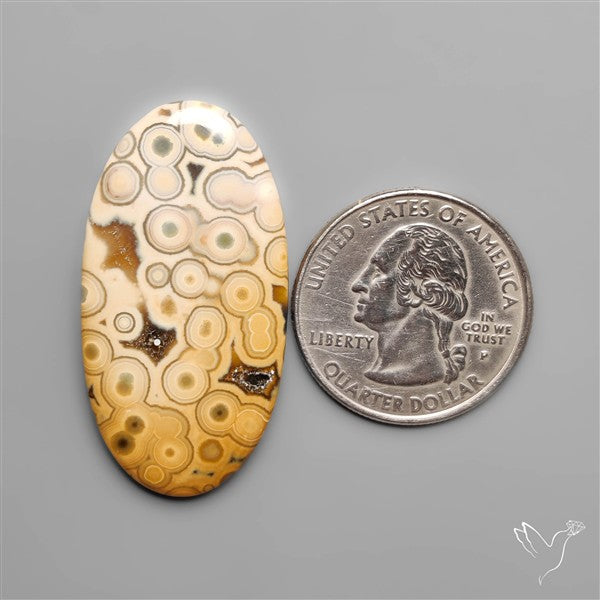 Orbicular Ocean Jasper Cabochon