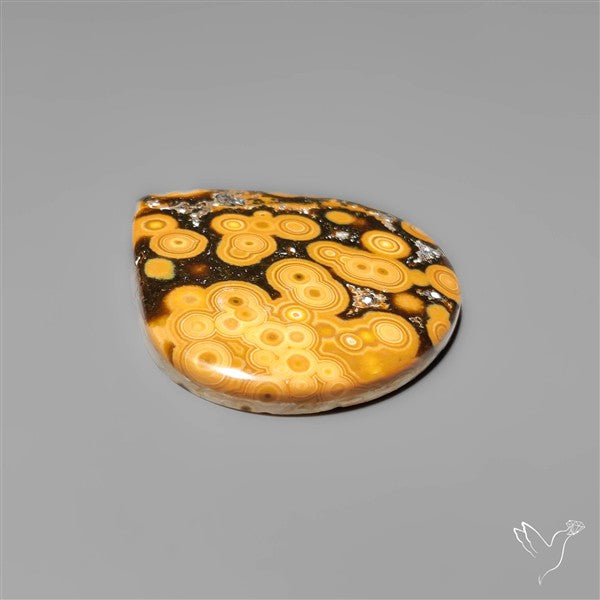 Orbicular Ocean Jasper Cabochon