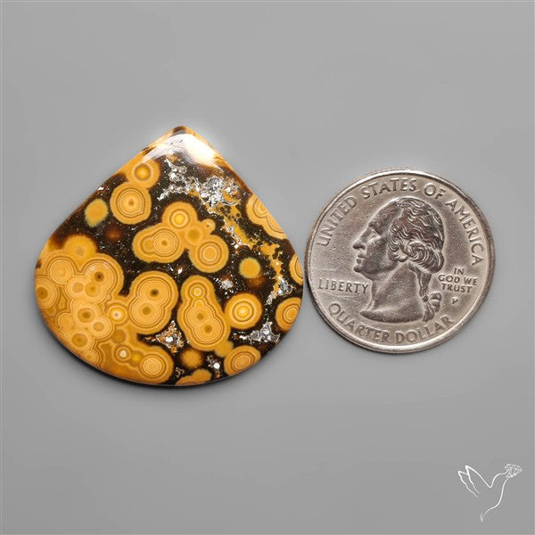 Orbicular Ocean Jasper Cabochon