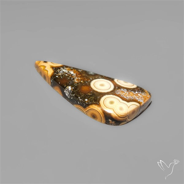 Orbicular Ocean Jasper Cabochon