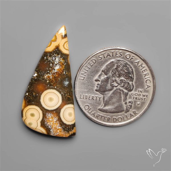 Orbicular Ocean Jasper Cabochon