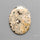 Orbicular Ocean Jasper Cabochon