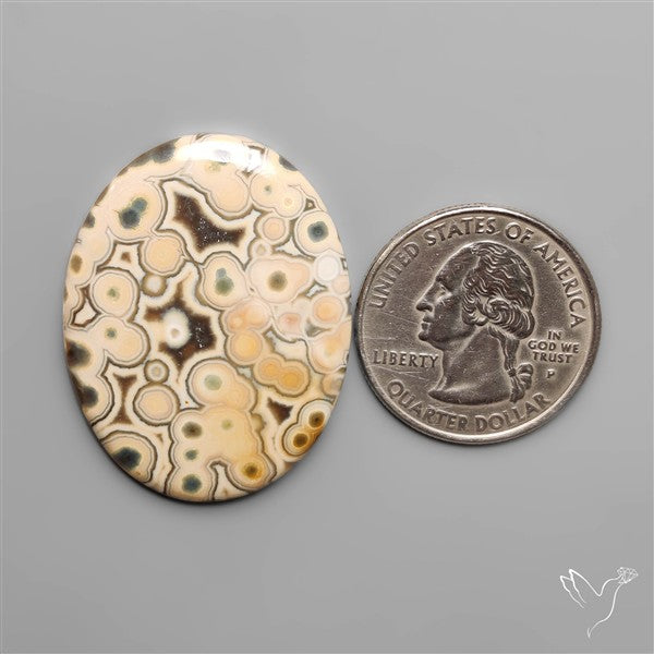 Orbicular Ocean Jasper Cabochon