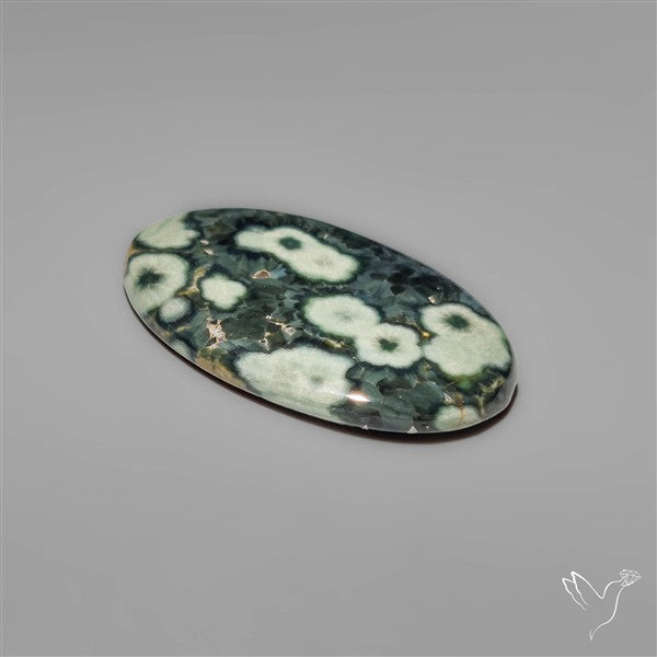 Orbicular Green Ocean Jasper Cabochon